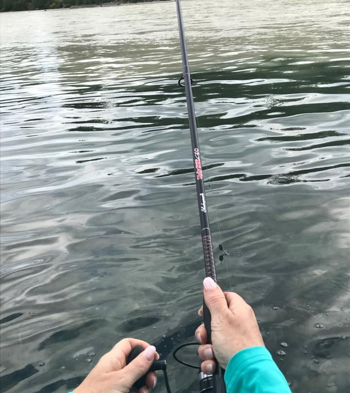 Talkeetna Fishing Guides景点图片