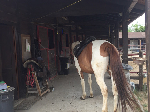 Ac Ranch-Carentino必去景点
