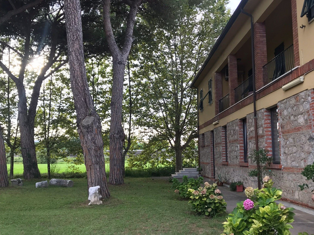 Fattoria Battilana主图