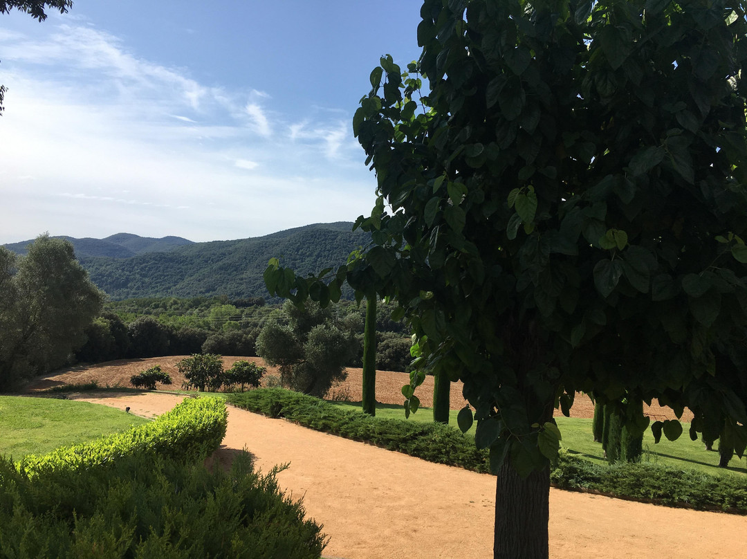 Mas Roure Vell主图