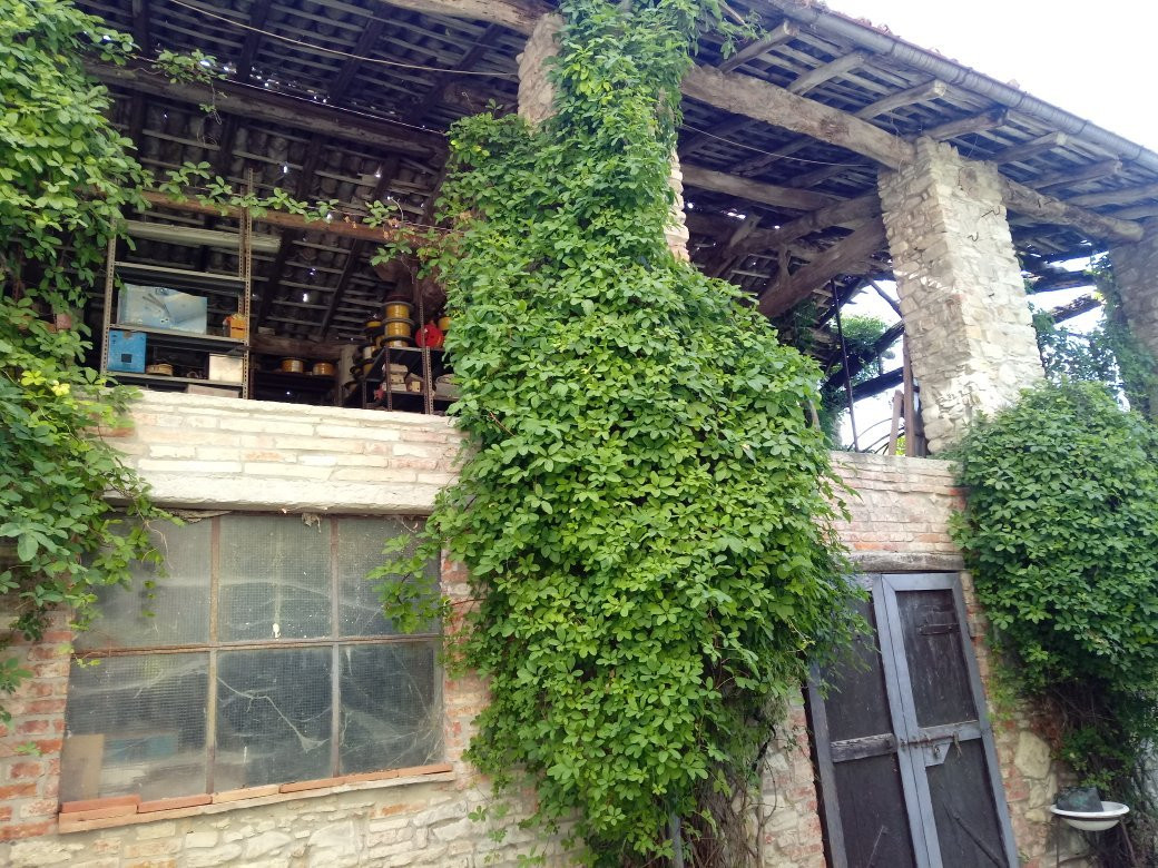 Molino Rizzo B&B主图