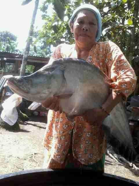 Suban Hot Springs-Curup必去景点