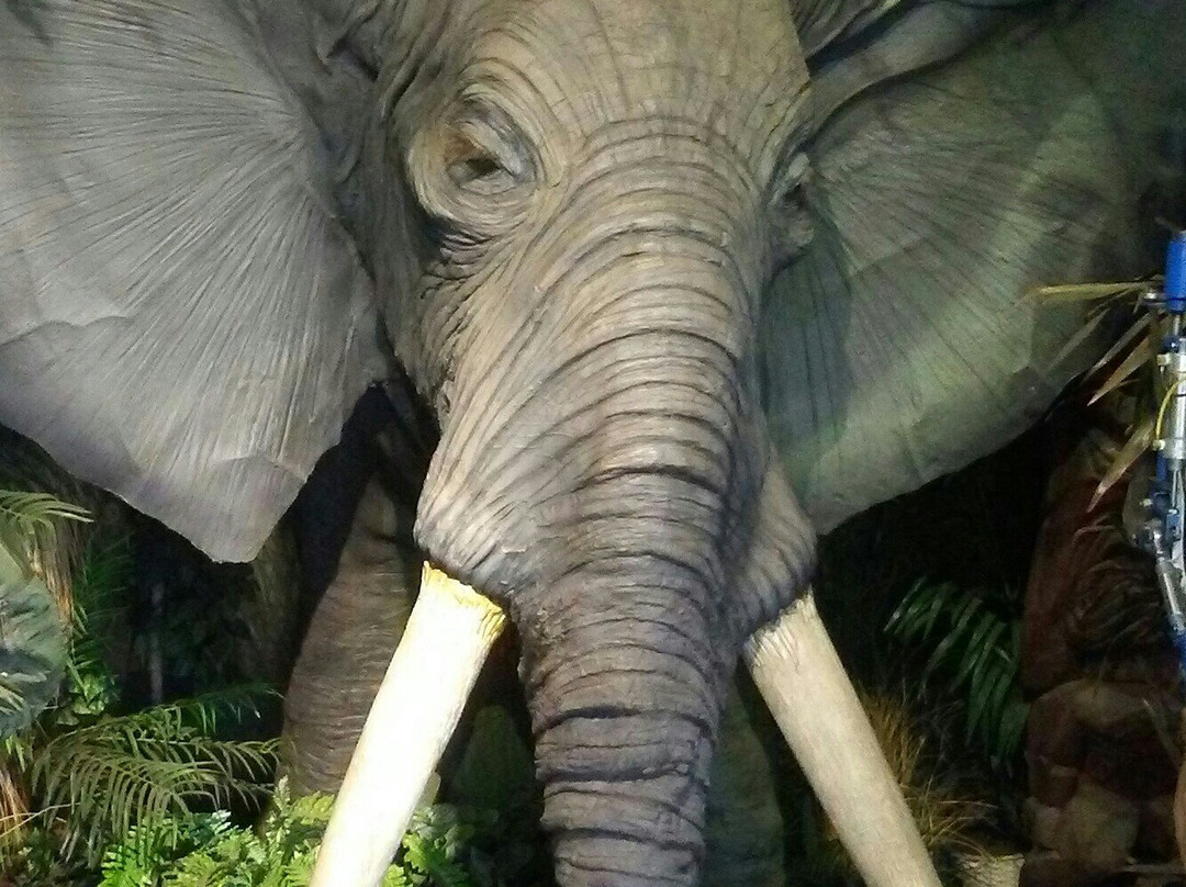 The Wax Works-纽波特必去景点