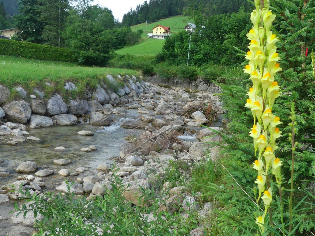 Hotel Kronenhirsch主图