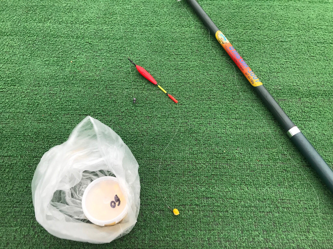 Pavlovskiy Park主图