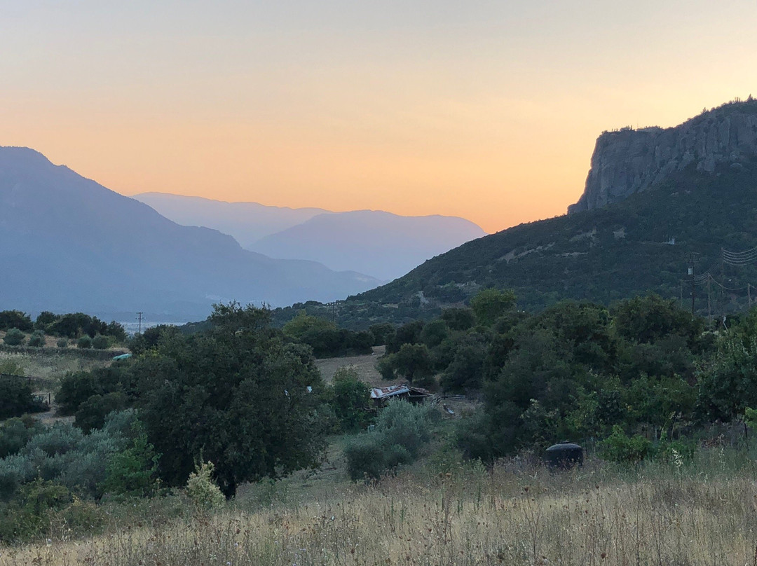 Guesthouse Arsenis主图