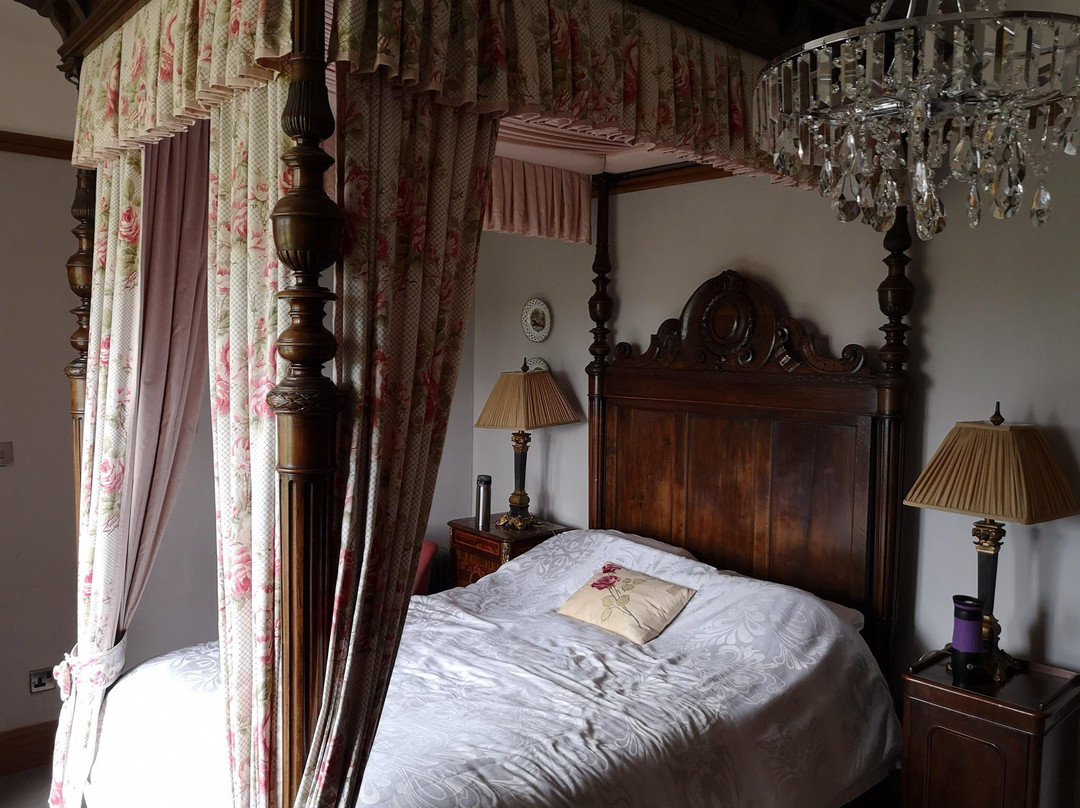 Domvilles Farm Guesthouse & The Lodge主图