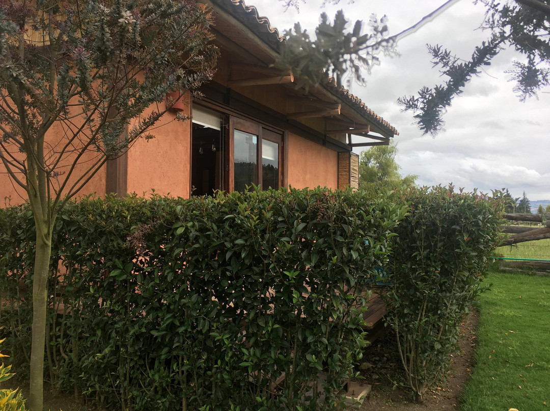 El Portal de Iza主图