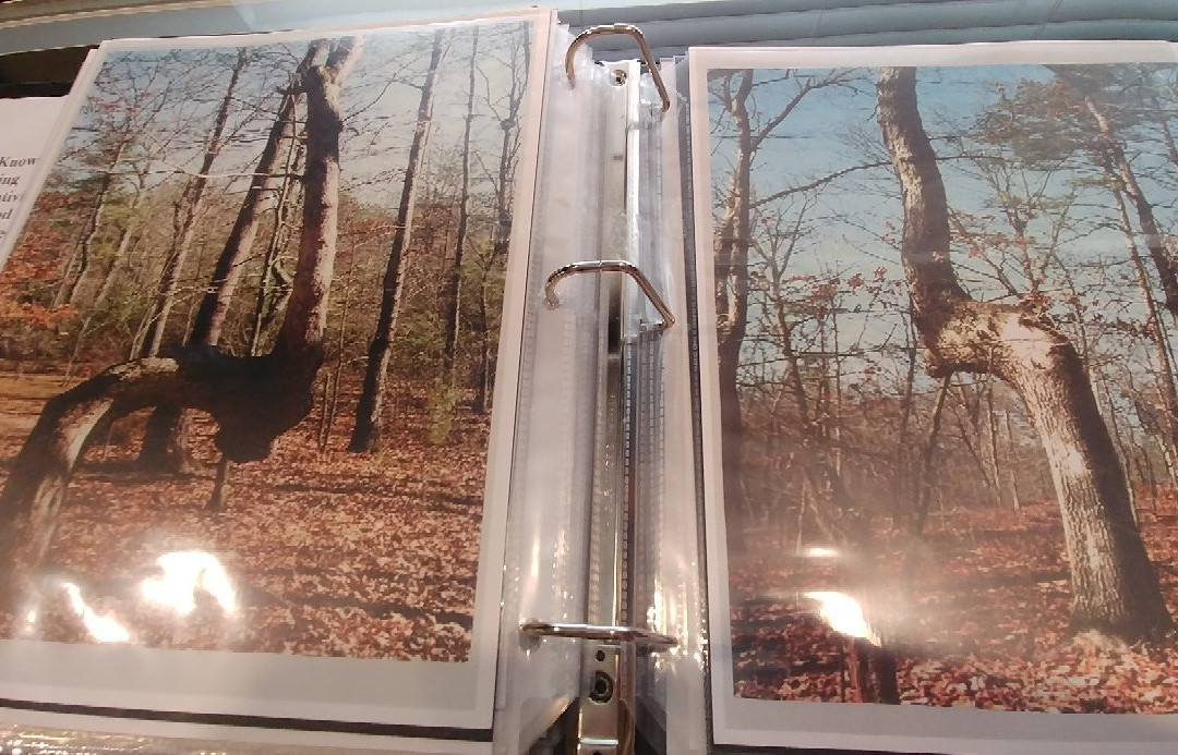 Helen Arts & Heritage Center-海伦必去景点