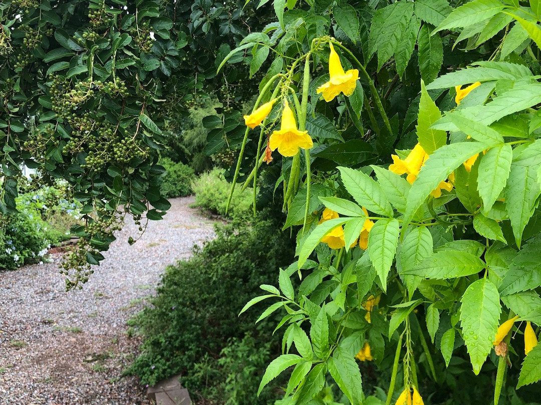 Delores Fenwick Nature Center-皮尔兰必去景点