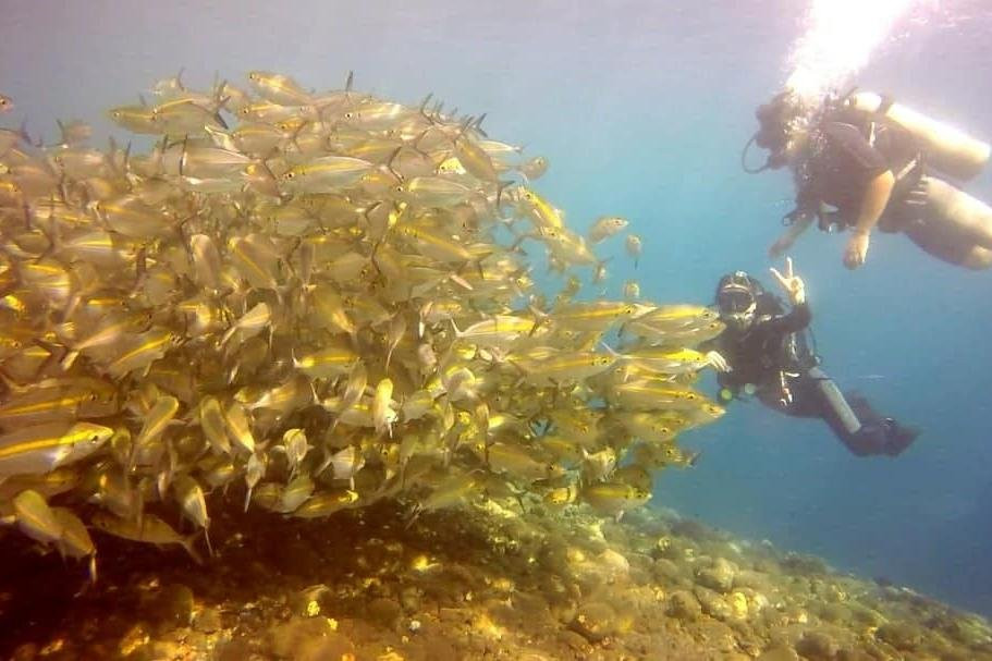 Amed Fun Divers Bali景点图片