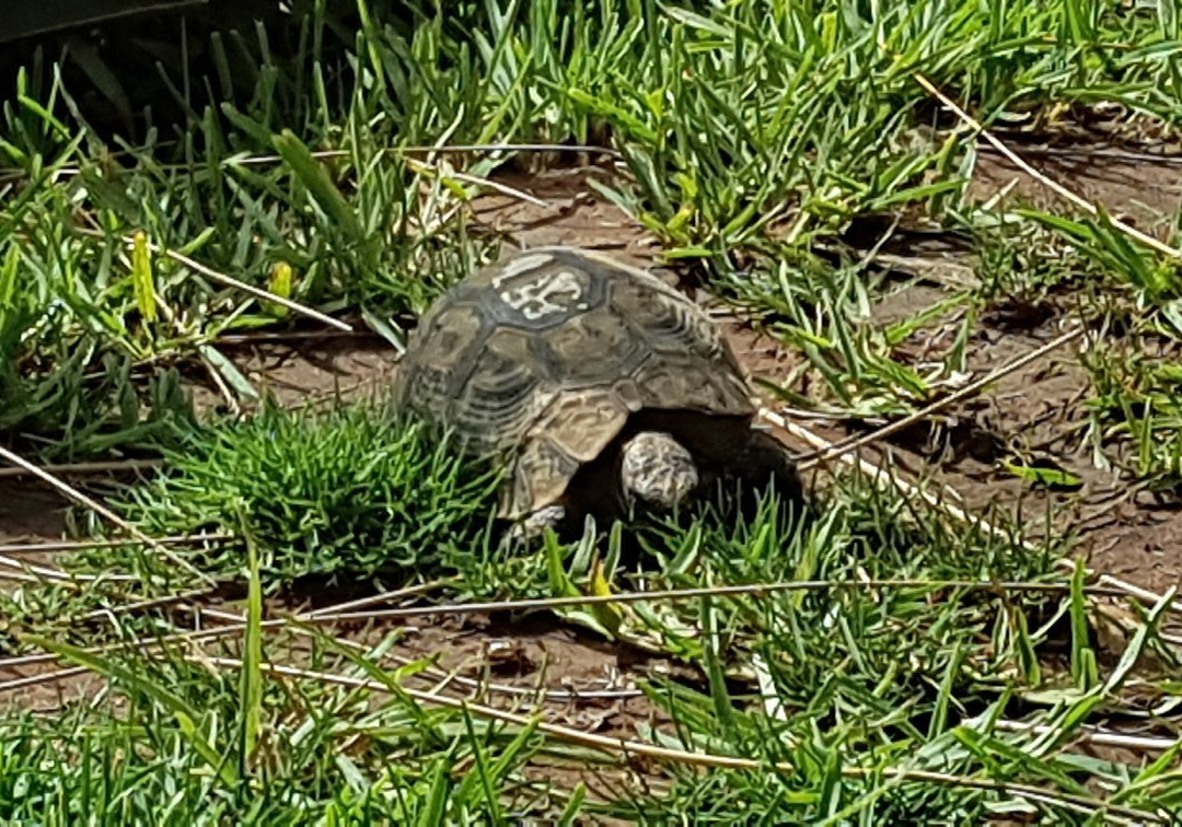 大巴别墅酒店主图