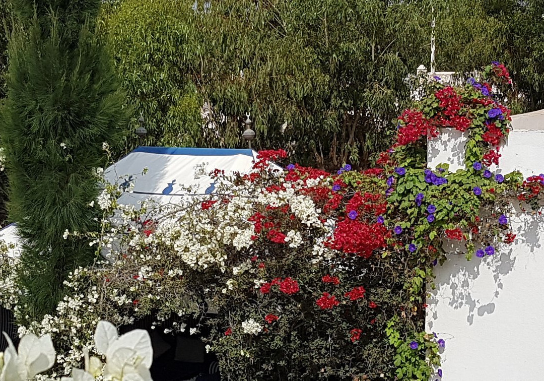 大巴别墅酒店主图