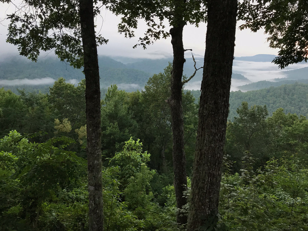 Snowbird Mountain Lodge主图