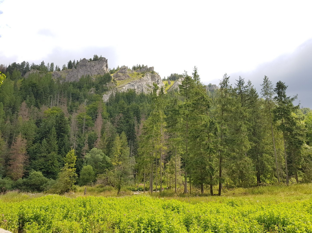 Nosal Mountain - Ski Area-扎科帕内必去景点