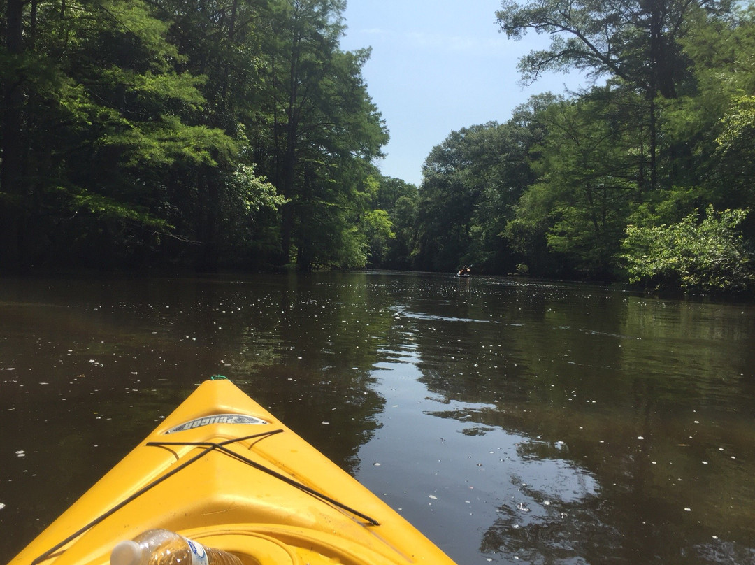 Made In The Shade-Jefferson必去景点