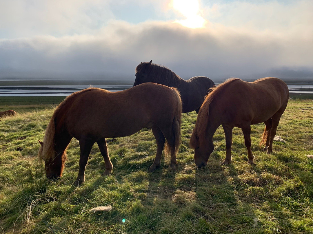 Helluland Guesthouse主图