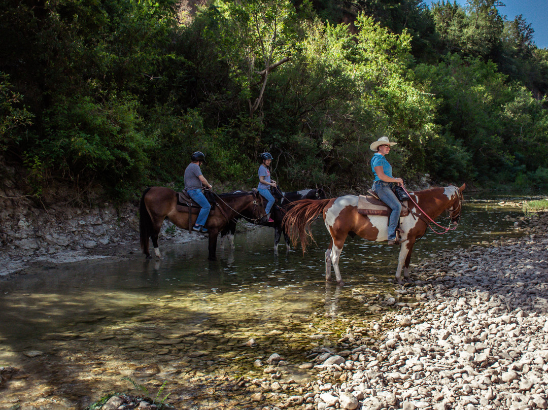 Lone Star Ranch-奥斯丁必去景点