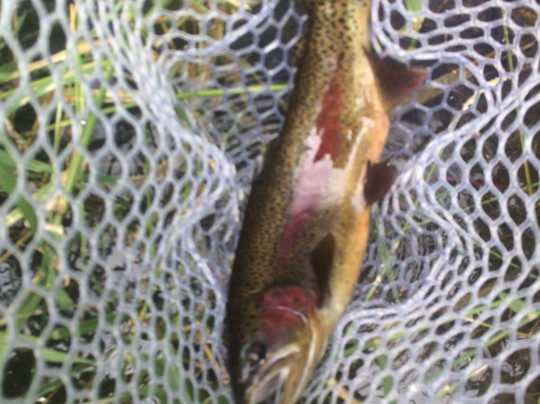 Confluence Fly Shop-本德必去景点