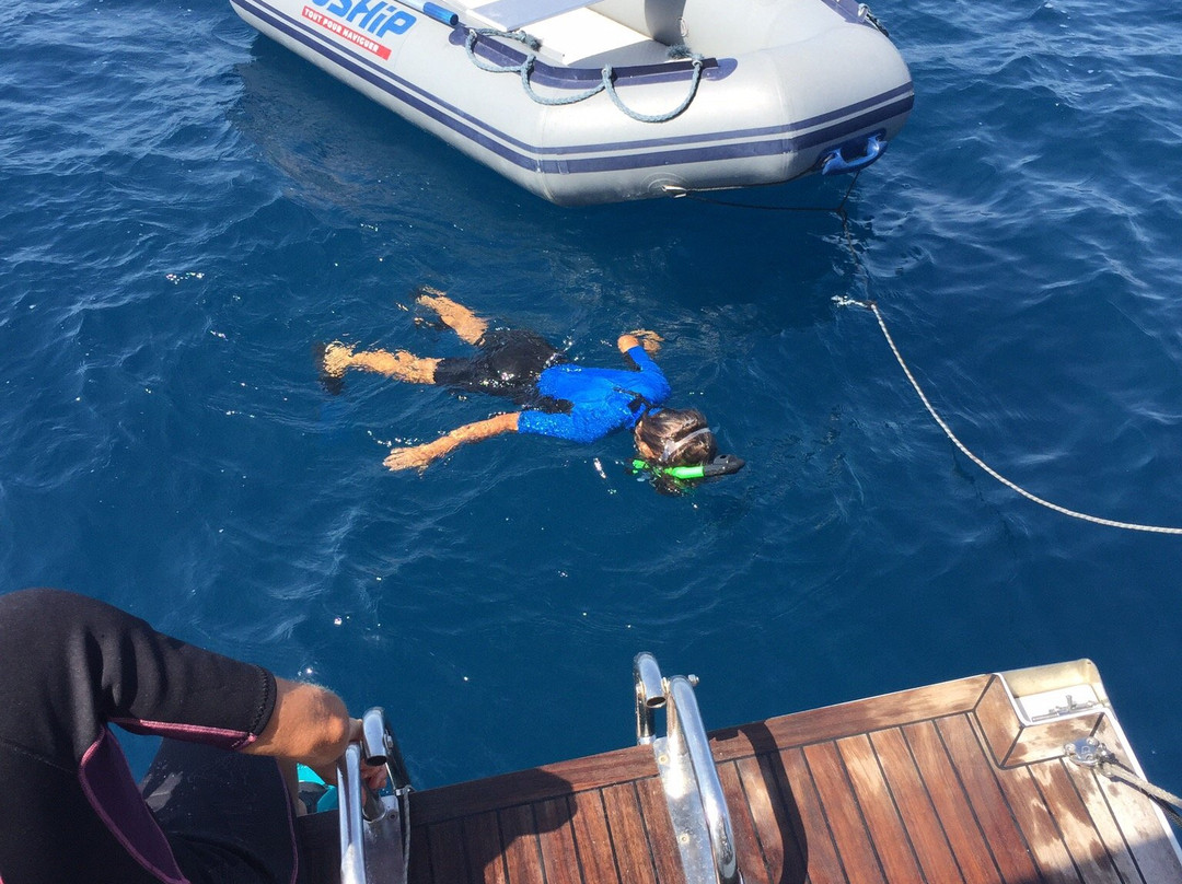 Cala Pada Diving Center Ibiza景点图片