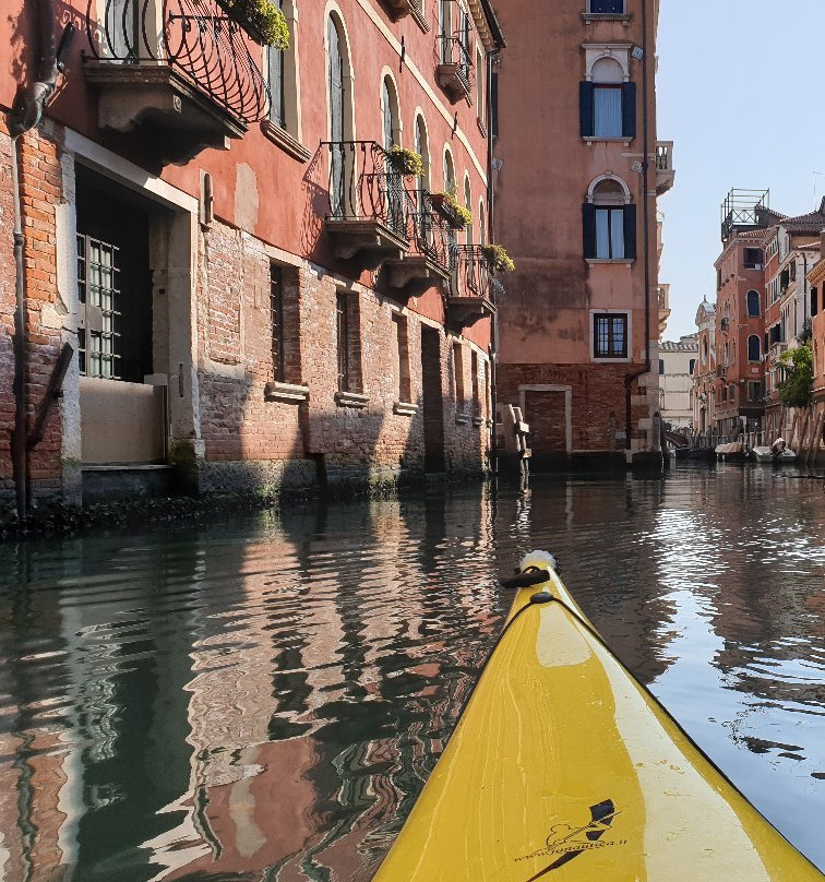 BV Kayak in Venice景点图片