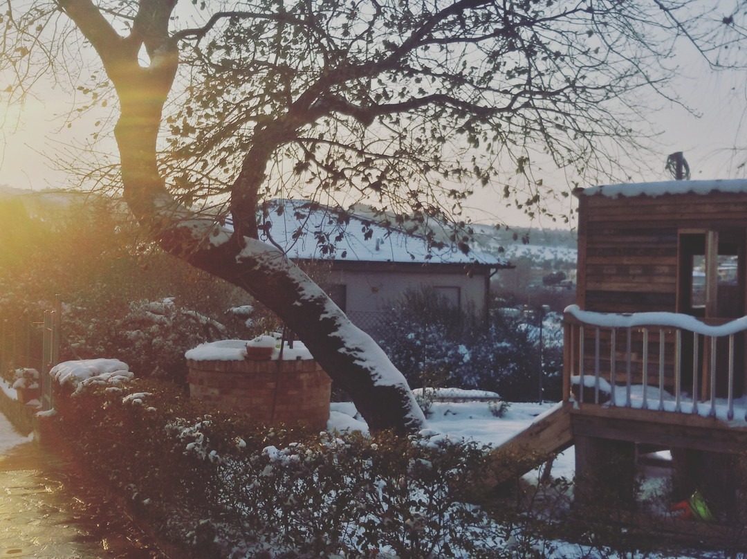 Aratro e Rosmarino B&B主图