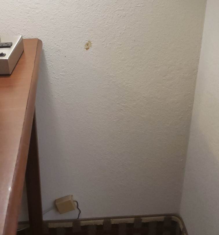 Quality Suites Paducah I-24主图