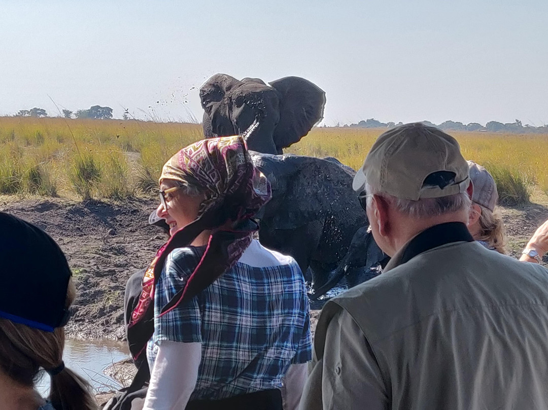 Livingstone Lourie Safari Ltd
