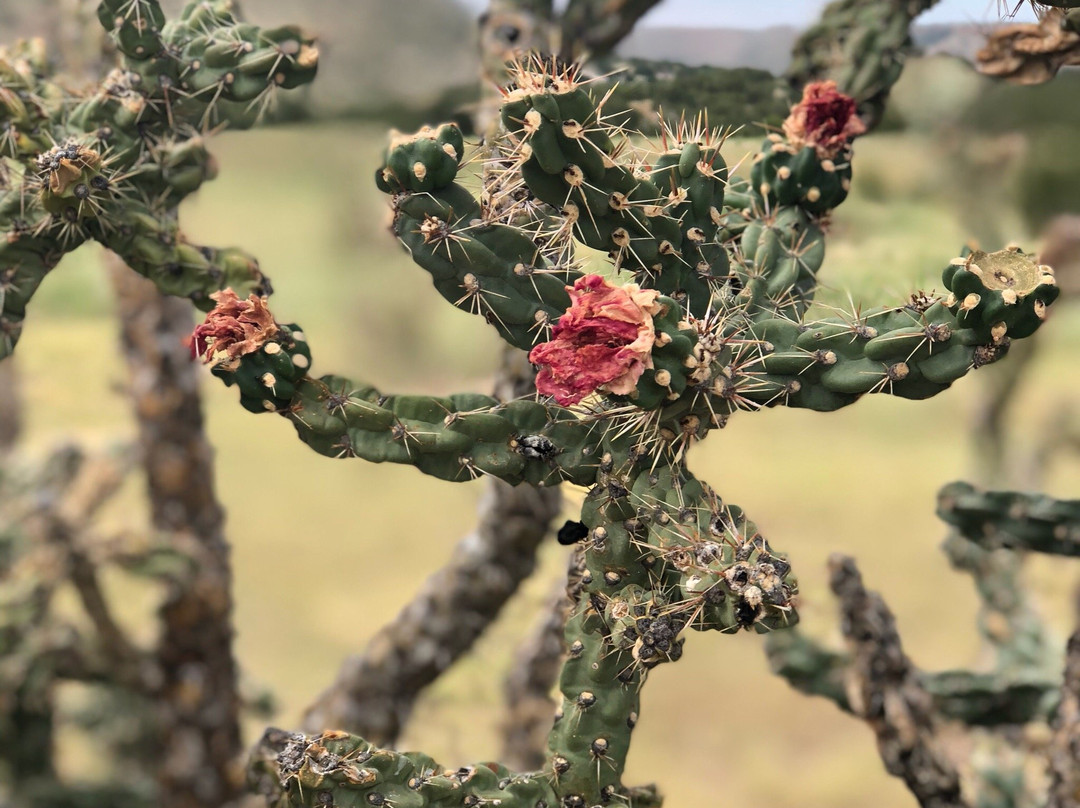 Black Mesa Summit Trail-Kenton必去景点