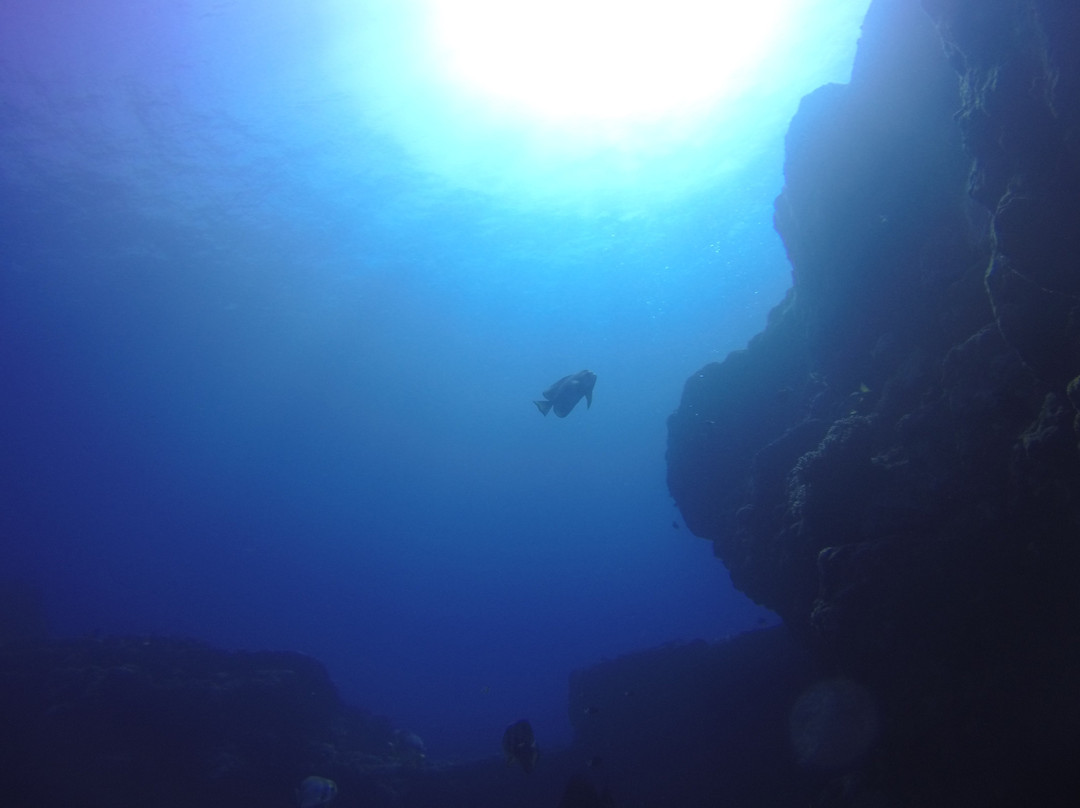 Blue Bay Divers Diving Centre景点图片