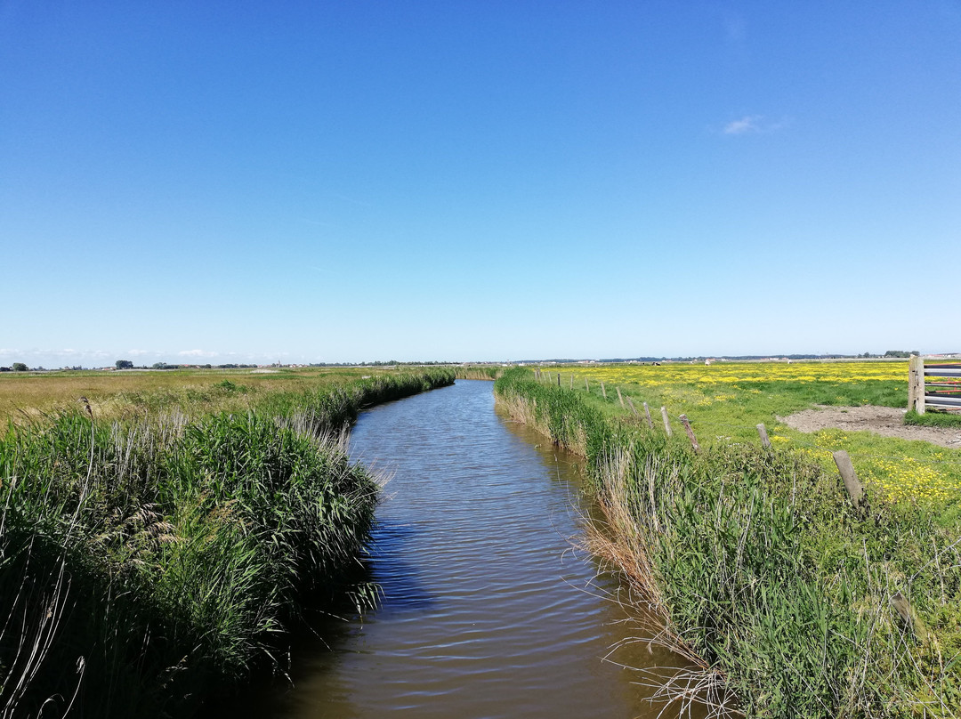 Uitkerkse Polder-布朗肯堡必去景点