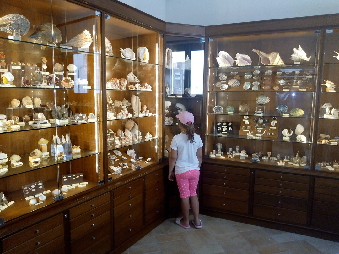 Casa Museo Matteo Sercia景点图片