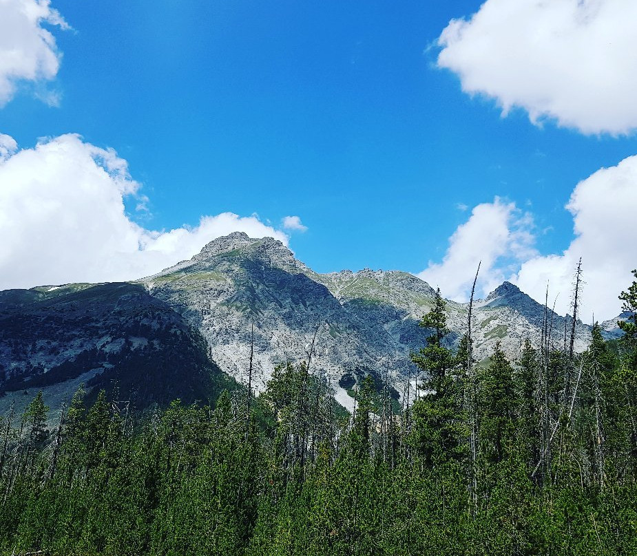 Swiss National Park (Parc Naziunal Svizzer)景点图片