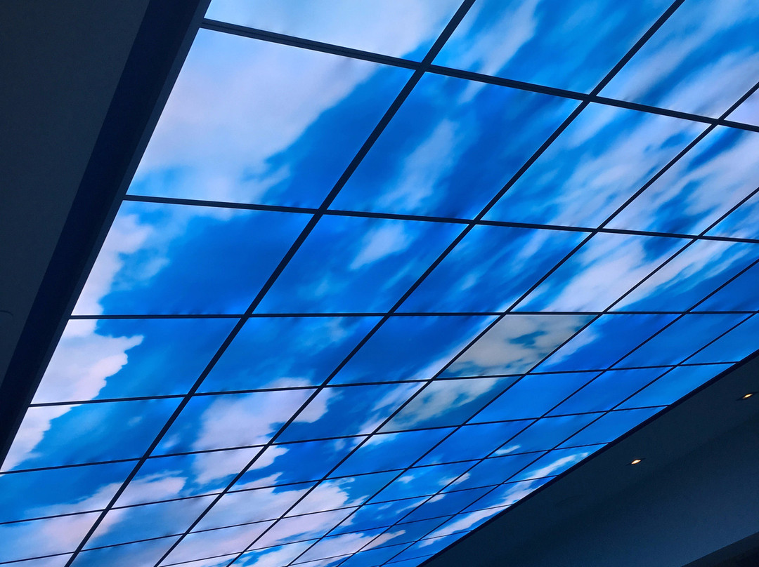 Delta Hotels by Marriott Waterloo主图