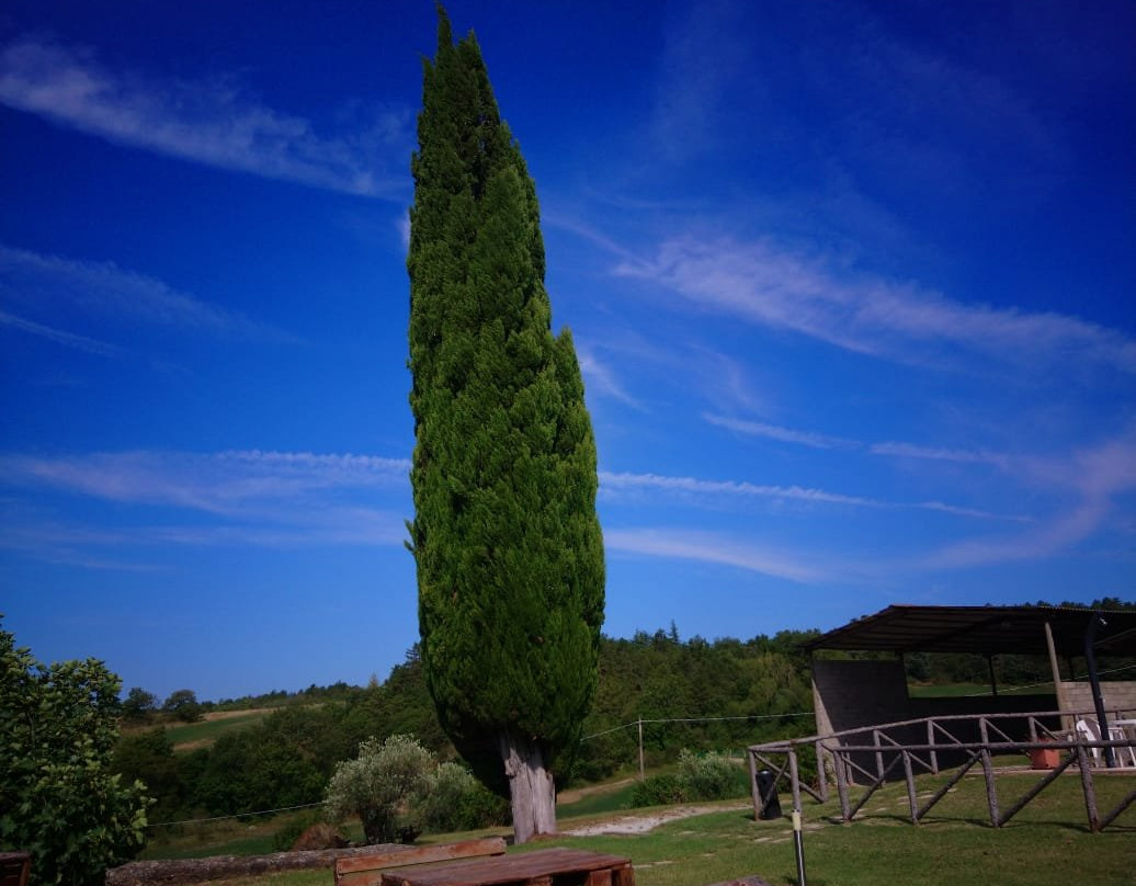 Country House Santa Felicita Paterna主图