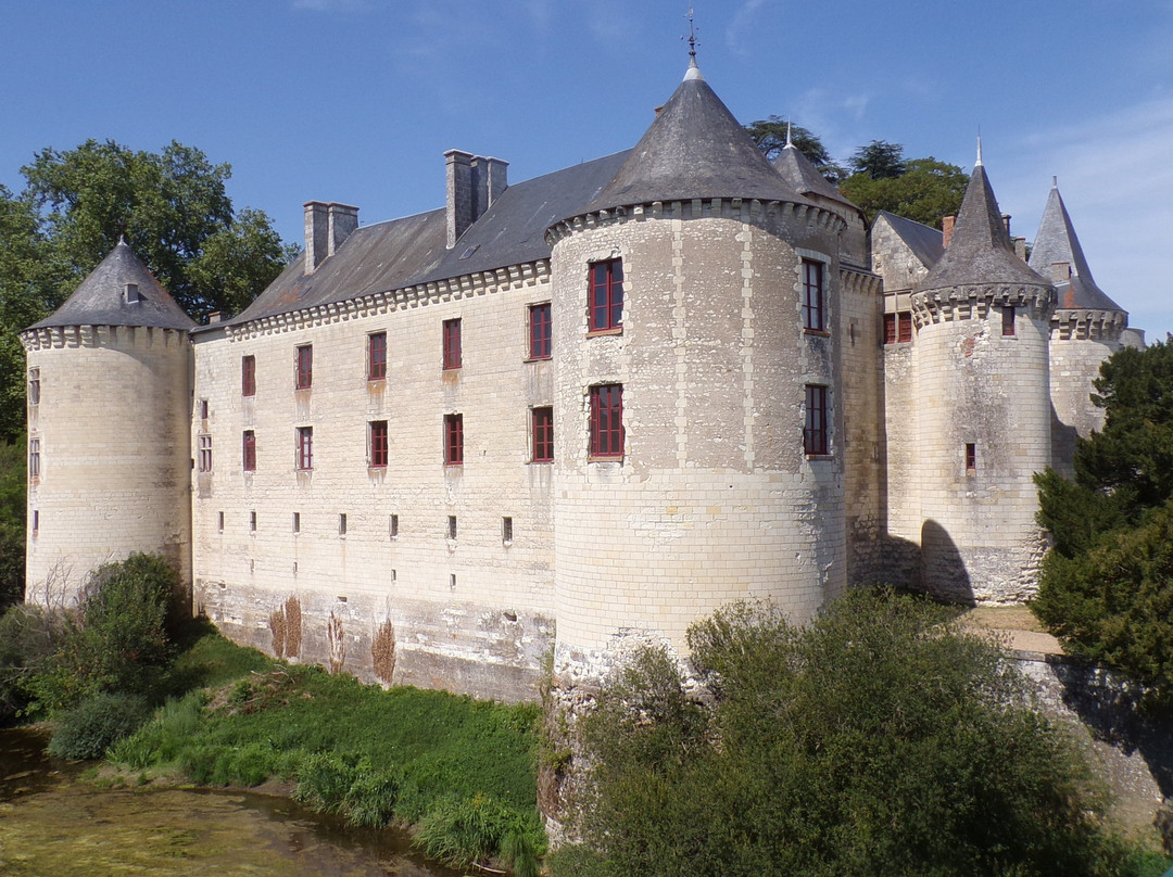 Château de la Guerche景点图片