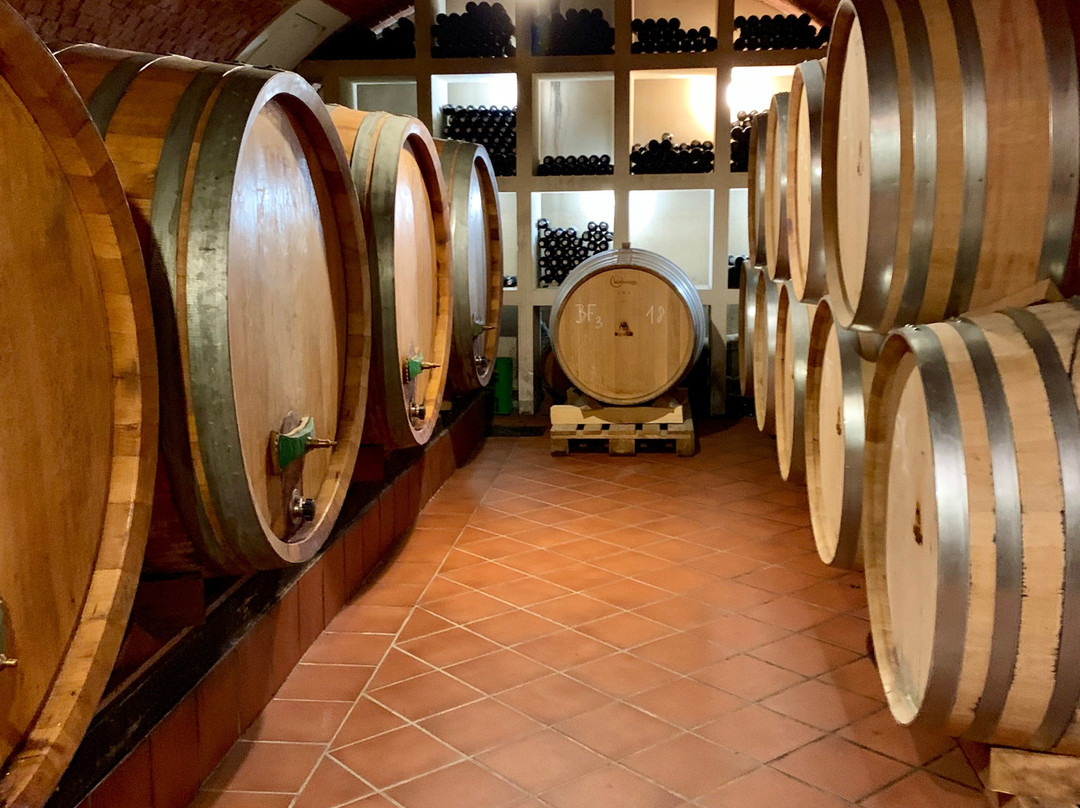 Winzerhof Schindler主图