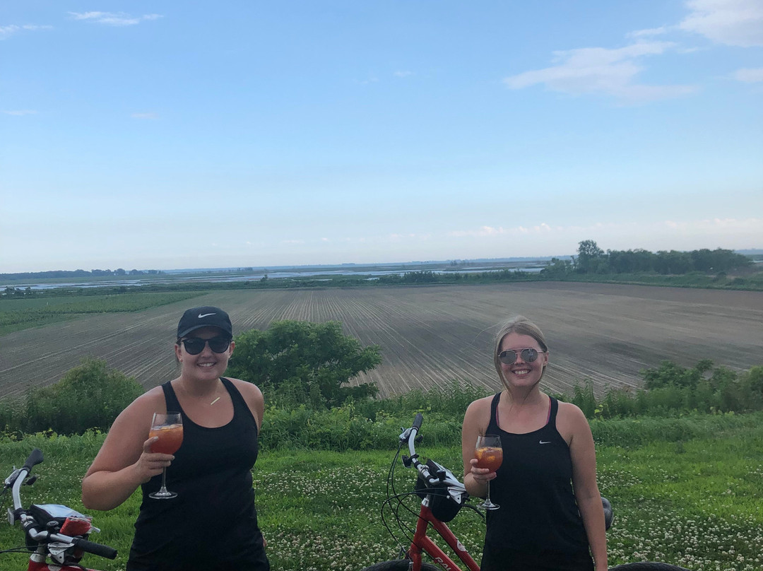 Red Apple Rides-多佛港必去景点