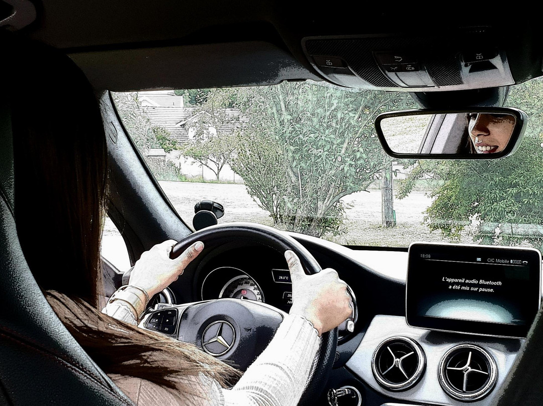 VTC Express'léman景点图片