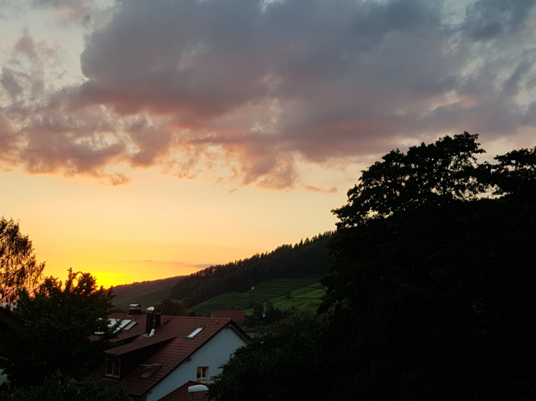 Landpension Haus Ruth主图