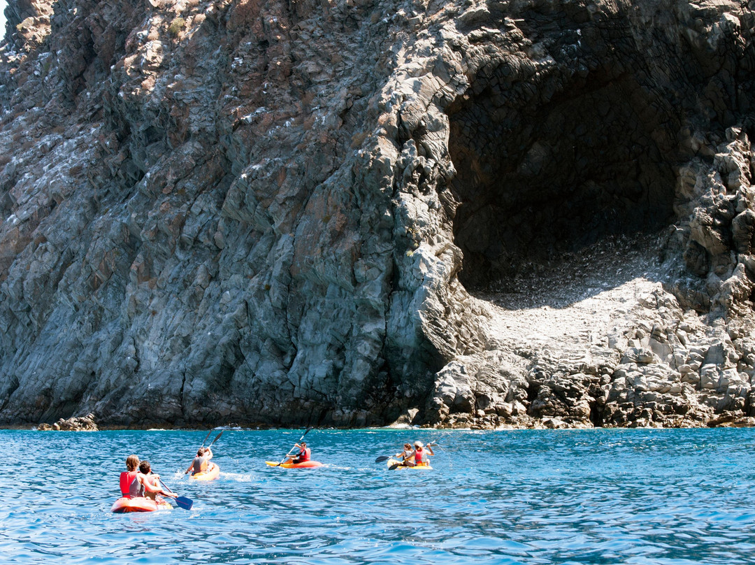 Sea Adventure Dive Club Tenerife-Palm-Mar必去景点