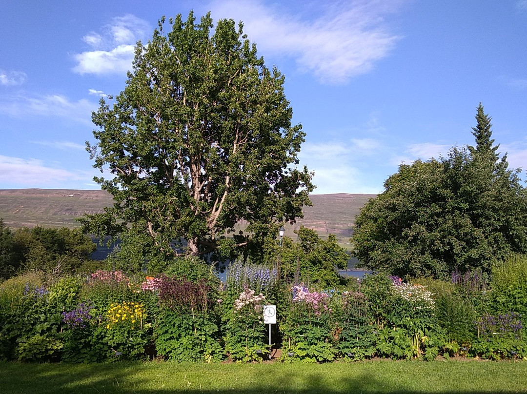 Akureyri Botanical Garden景点图片