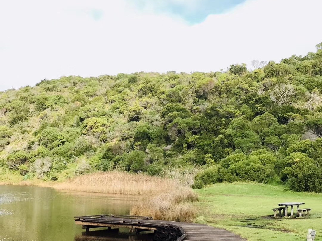 Princetown Wetlands Boardwalk景点图片