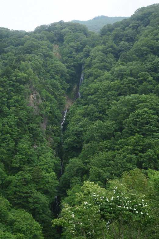 Matsukawa Valley-高山村必去景点