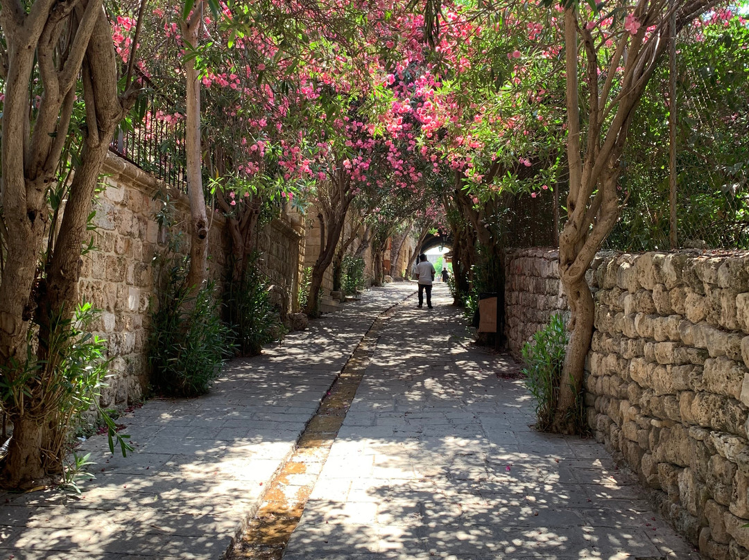 Lebanon tours vip-贝鲁特必去景点