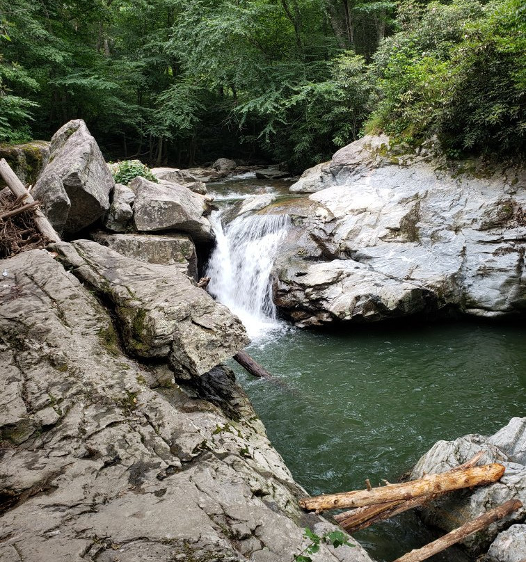 Laurel Creek Falls景点图片
