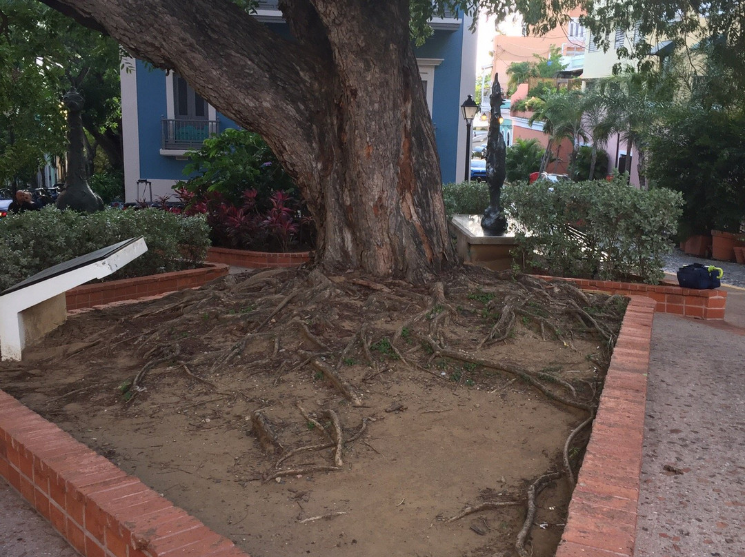 Casa Museo Felisa Rincon de Gautier-圣胡安必去景点