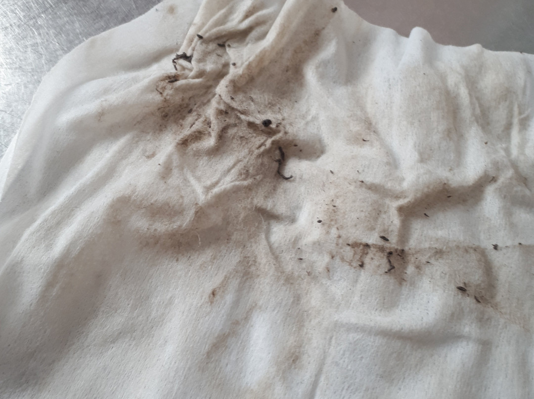 Silver Birch Motel主图