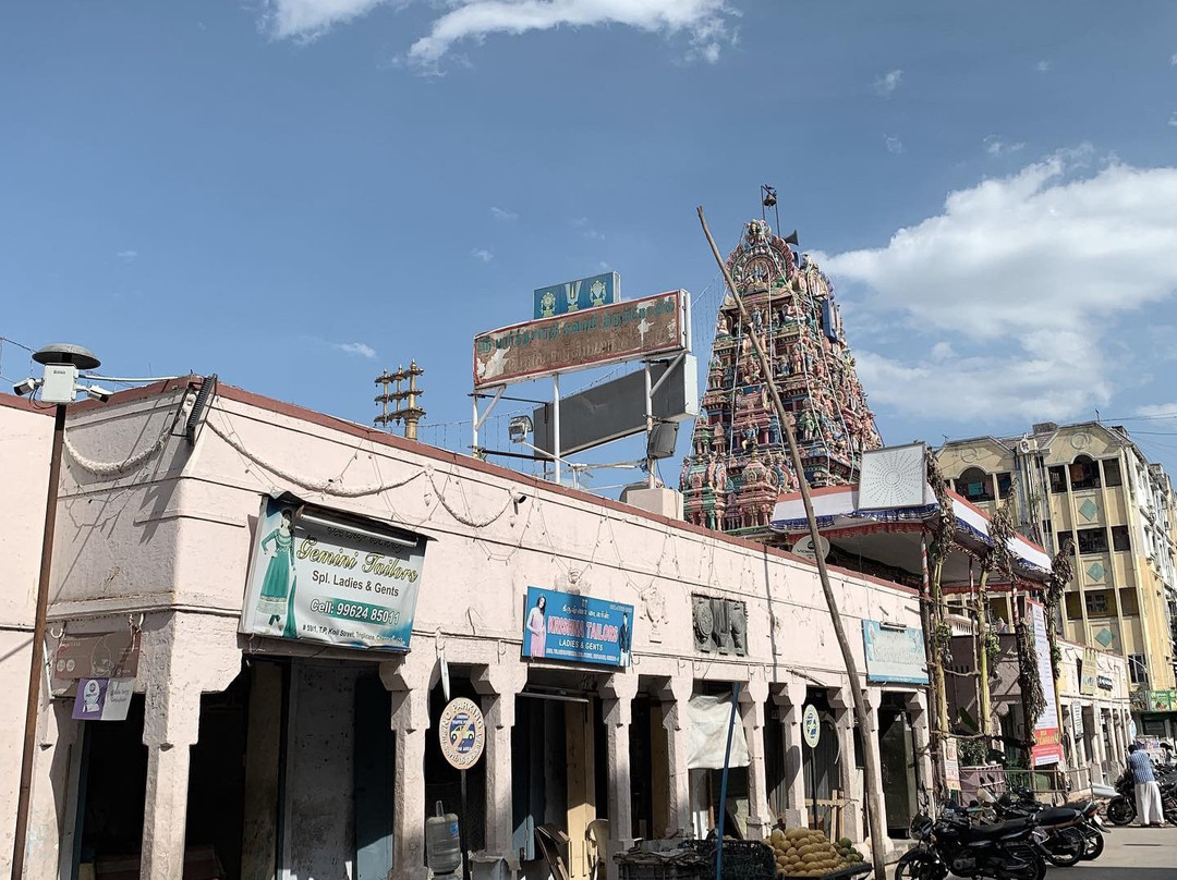 Arulmigu Thiruvallikeni Parthasarathy Temple景点图片