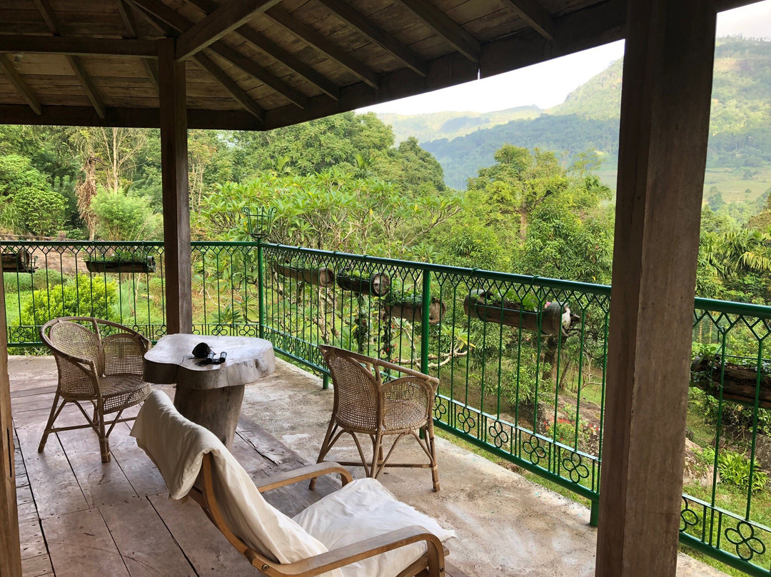 Ecolanka - Maussawa Estate主图